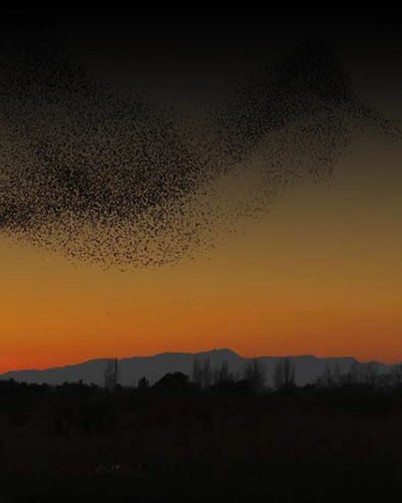 Sunset sky, photographed for the print series