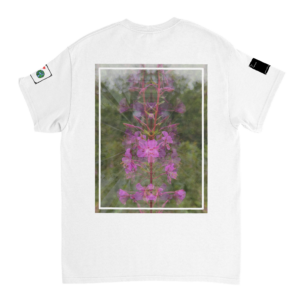 1728a086-d439-4676-a047-21a628482d69