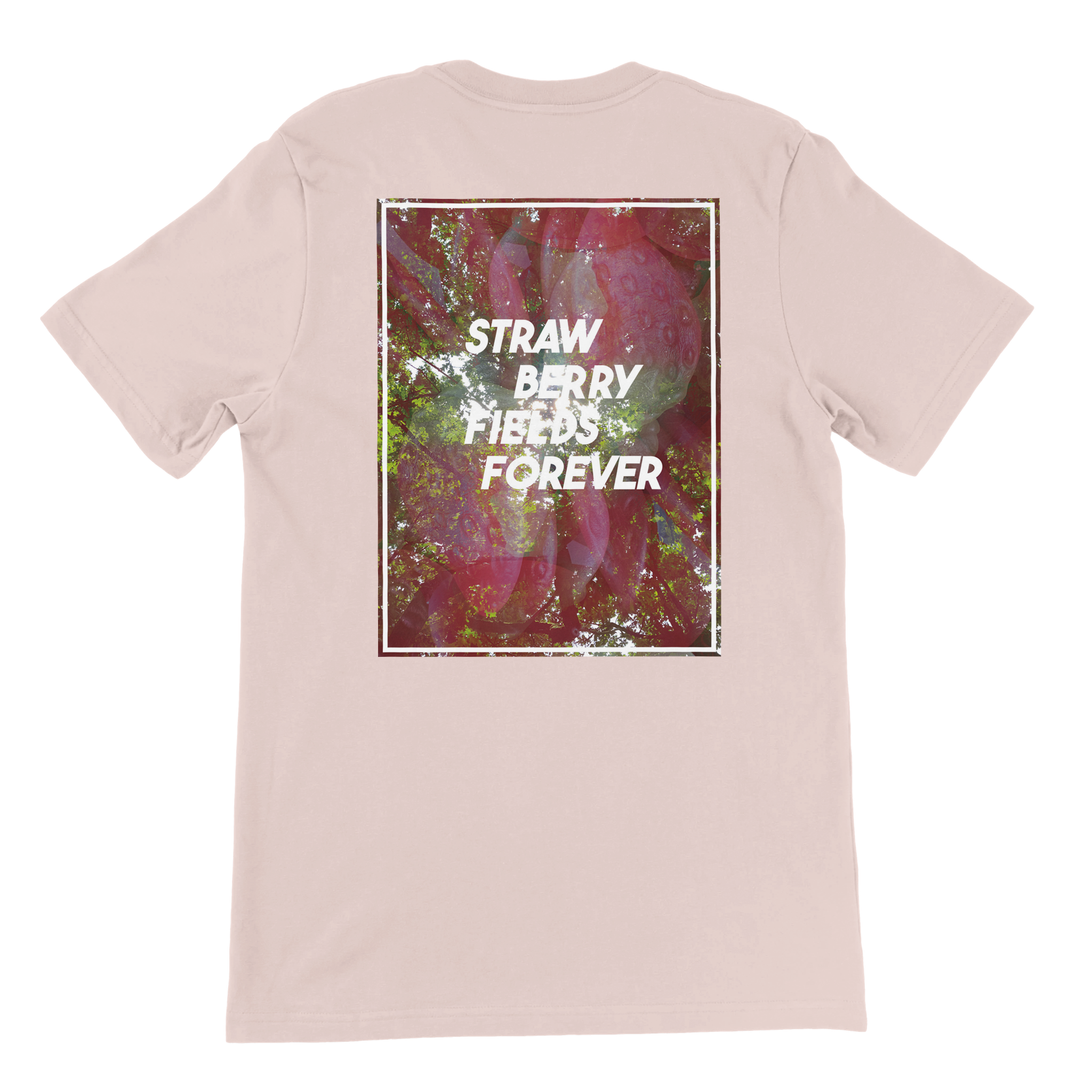 382ac670-c152-4730-8154-847f2b88f329