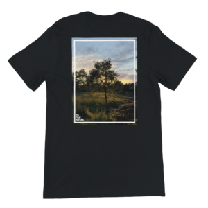 5b35f2e3-0312-4fa4-a5a1-e81a4a88aae6