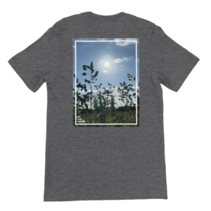 ee851d9b-a042-4794-8ad7-c724bc53b18d