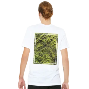 0fbc2df3-84b1-4aa1-a02e-793fbfa9beda