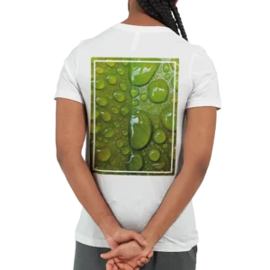 24c1c433-2aa7-42b3-8b8b-3748ee7debbb