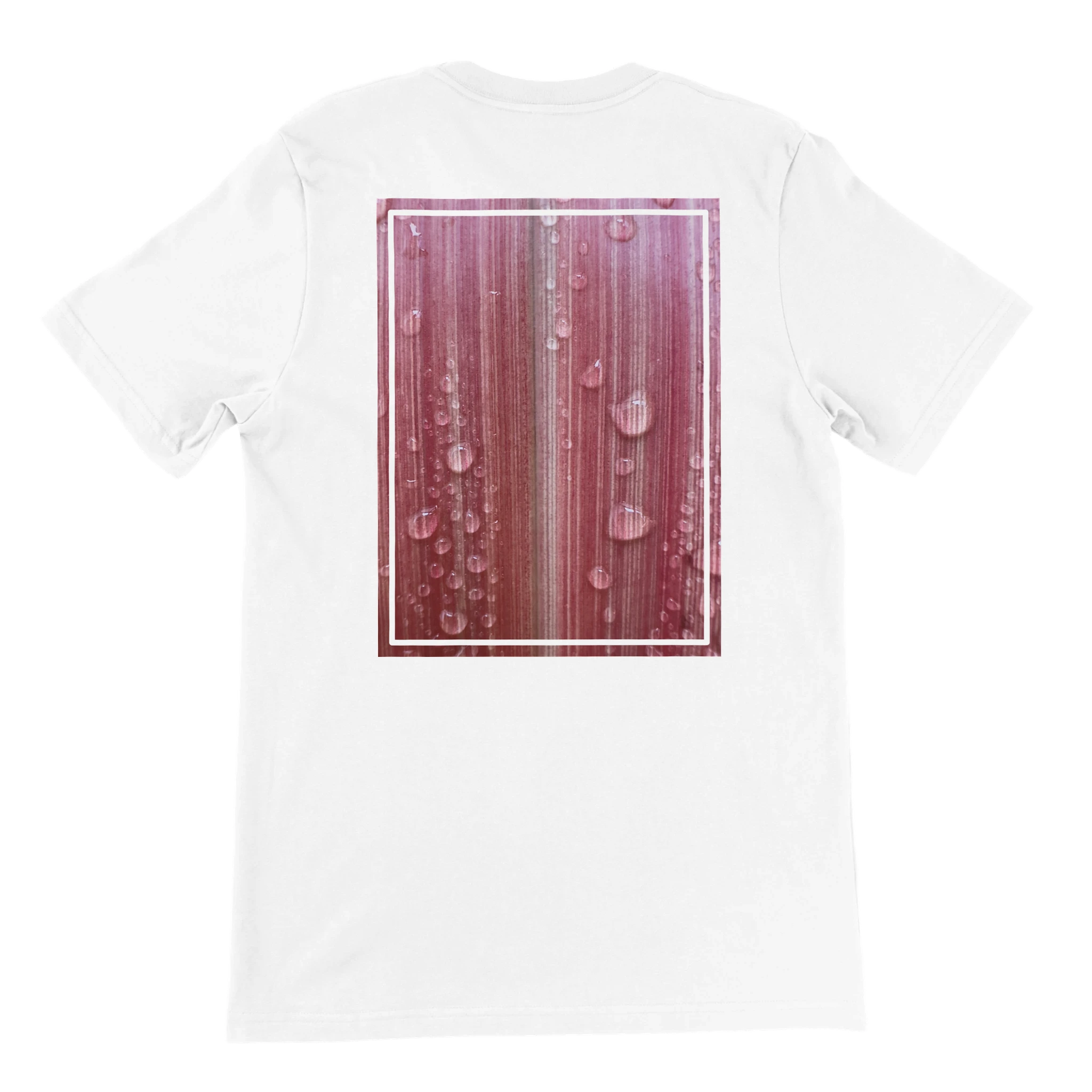 3acfc496-0eca-42d3-9ee0-ab4c0b6b0a71