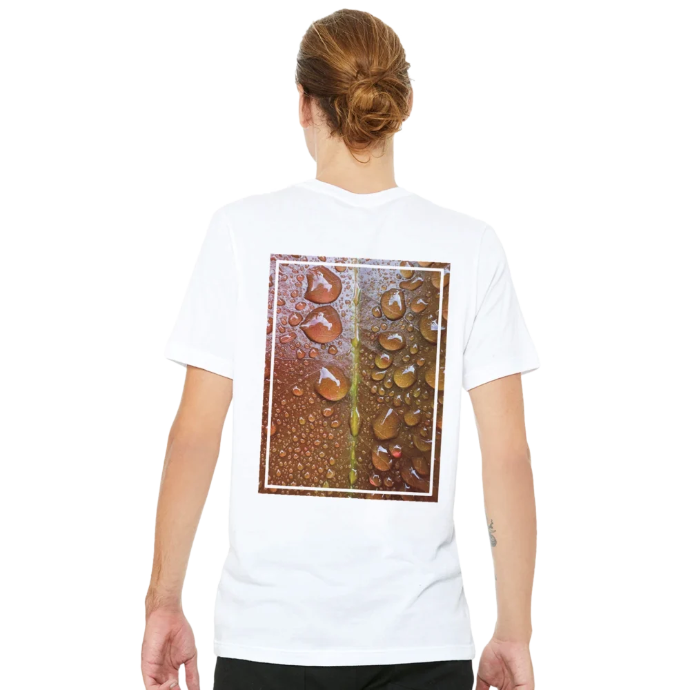 9e3ff4d1-ebc1-4064-8237-07a77cd5e24c