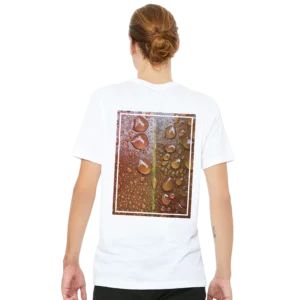 9e3ff4d1-ebc1-4064-8237-07a77cd5e24c