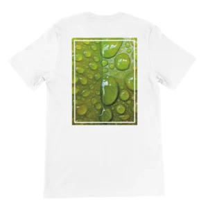 ae62aa8d-c168-4c74-82f2-1885cc48a786