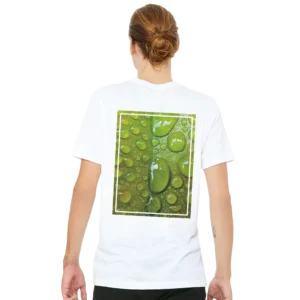 af8e5561-0a6c-4332-b938-b4443f654e37