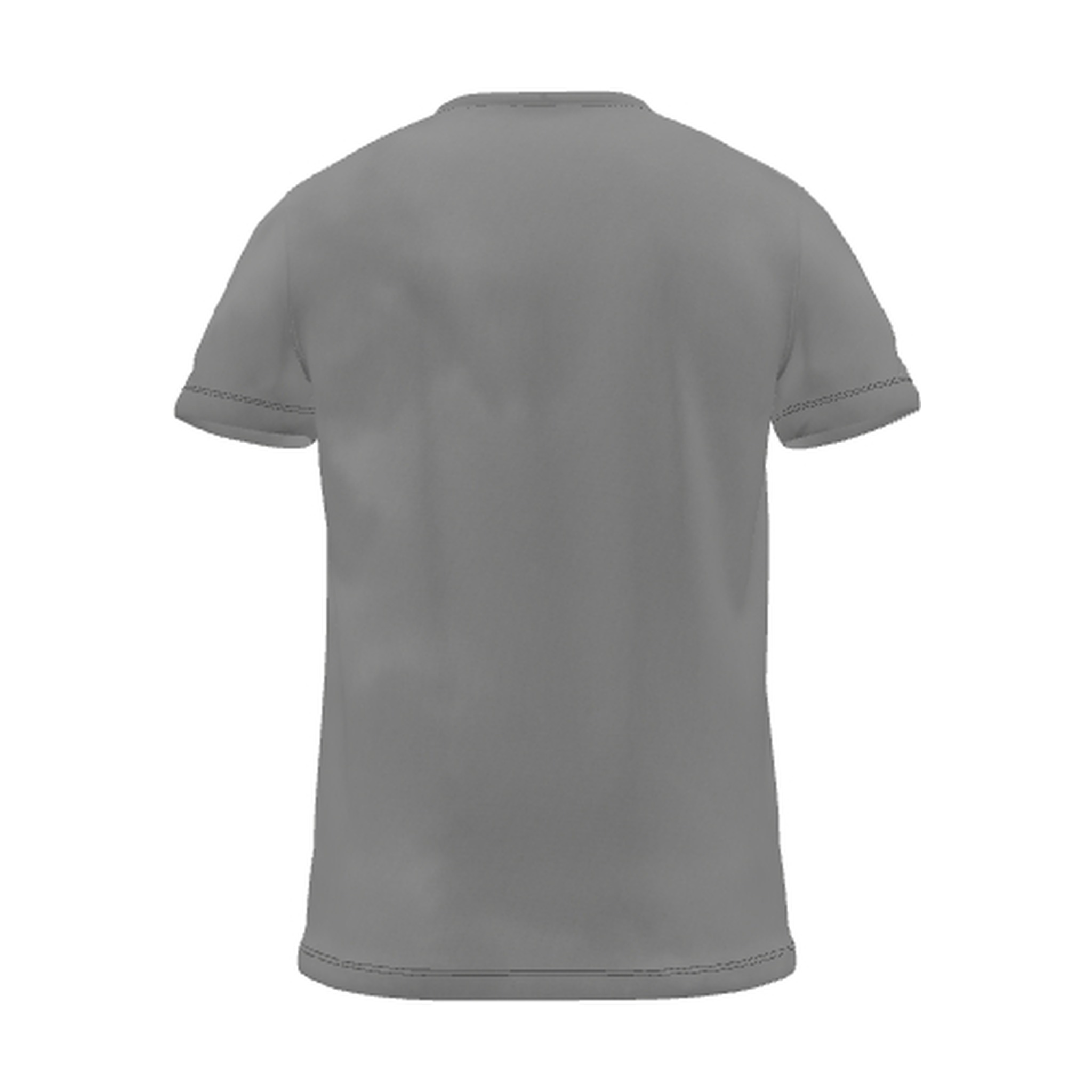 Ash T-Shirt, back view