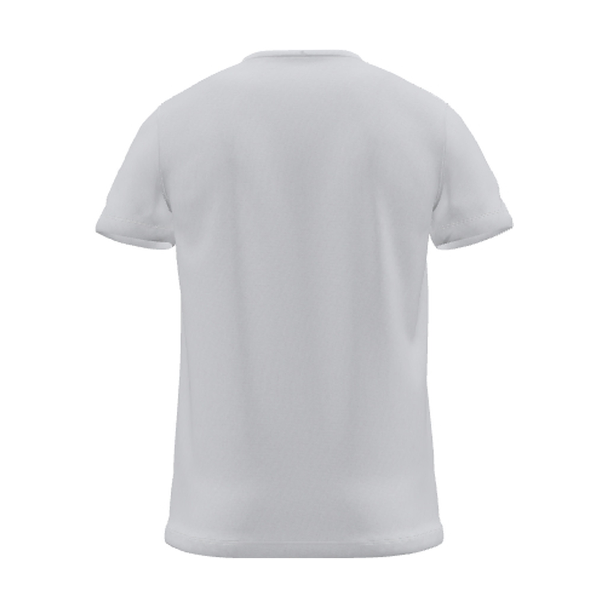 Mist T-Shirt, back view