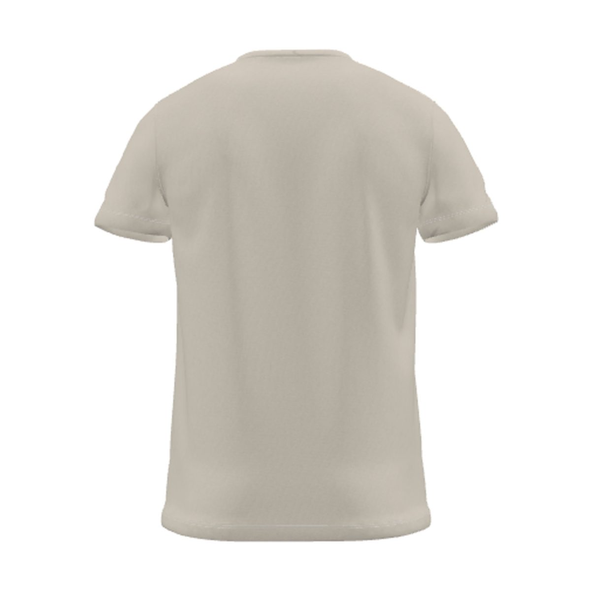 Stone T-Shirt, back view
