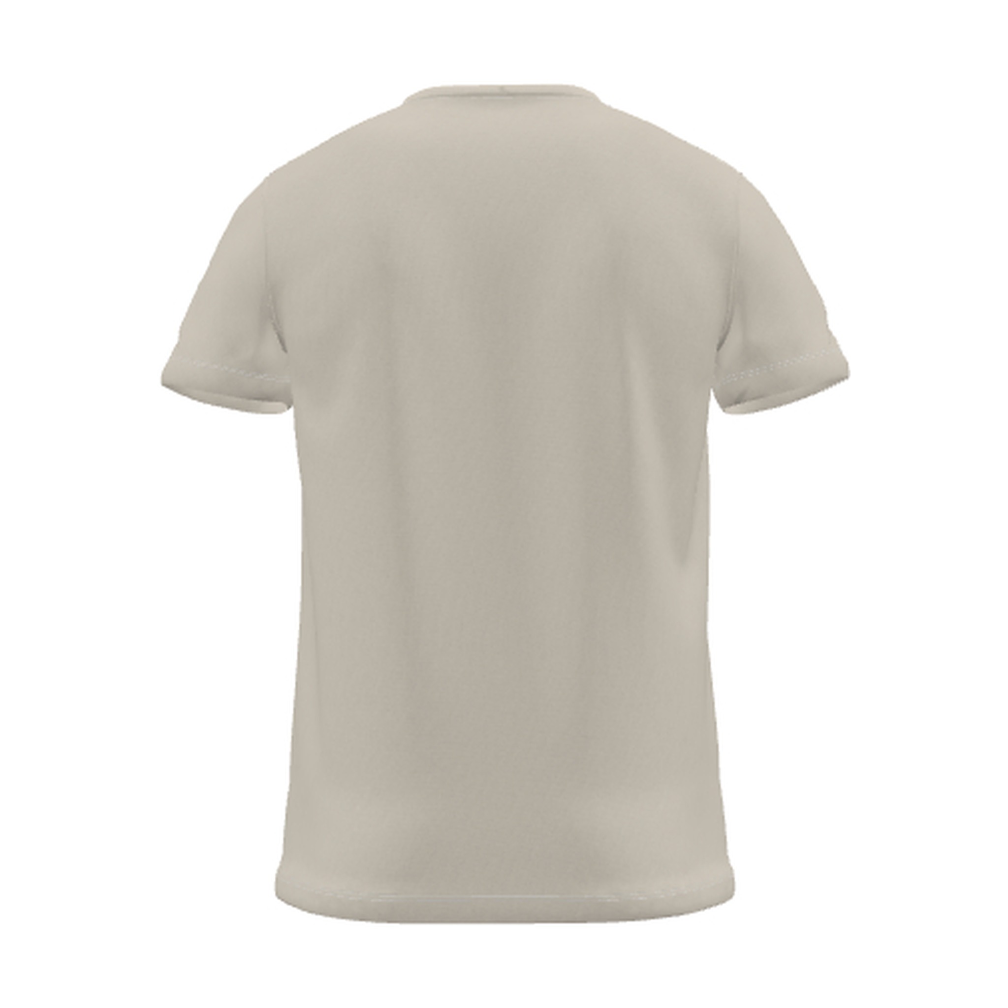 Stone T-Shirt, back view